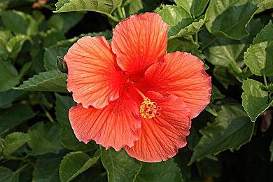 Take-Two正在关闭两家工作室 《奥力奥力》系列终结